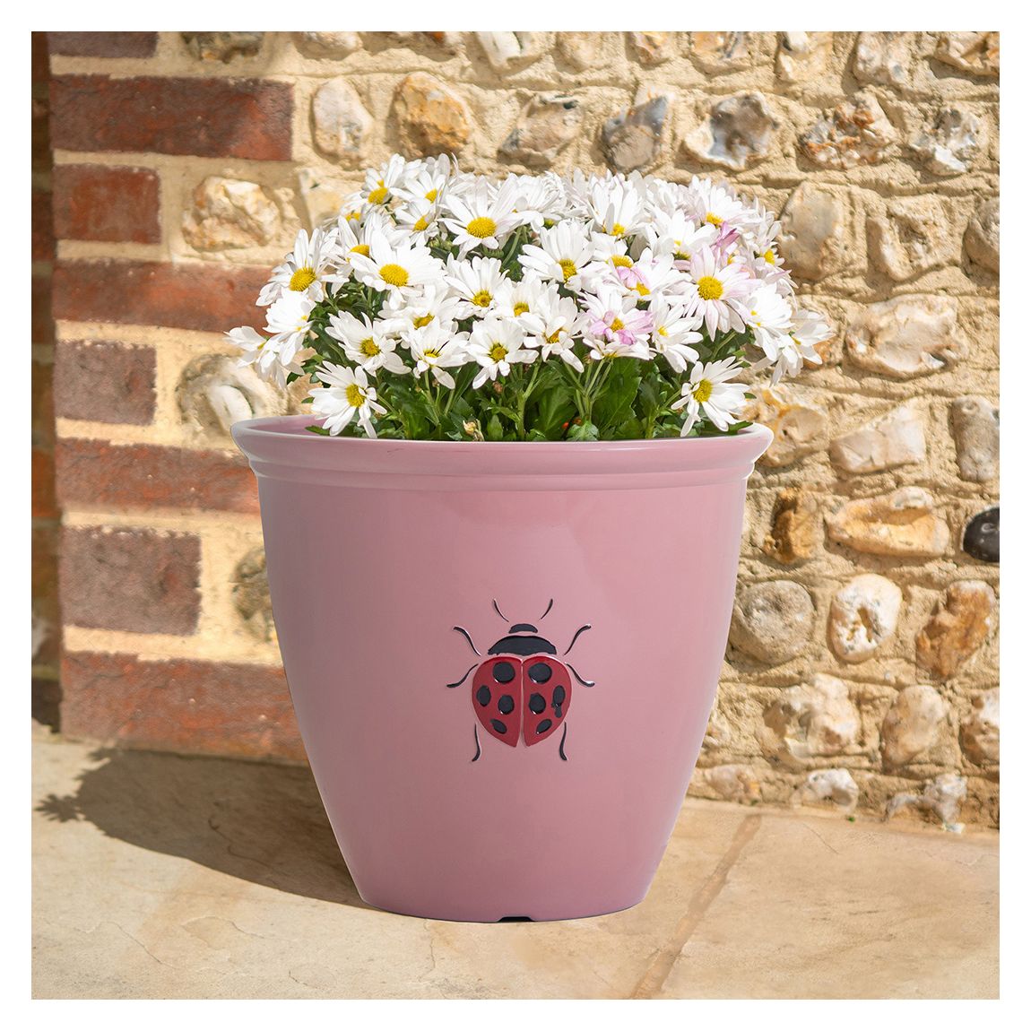 38cm Ladybird Planter Pink main product photo