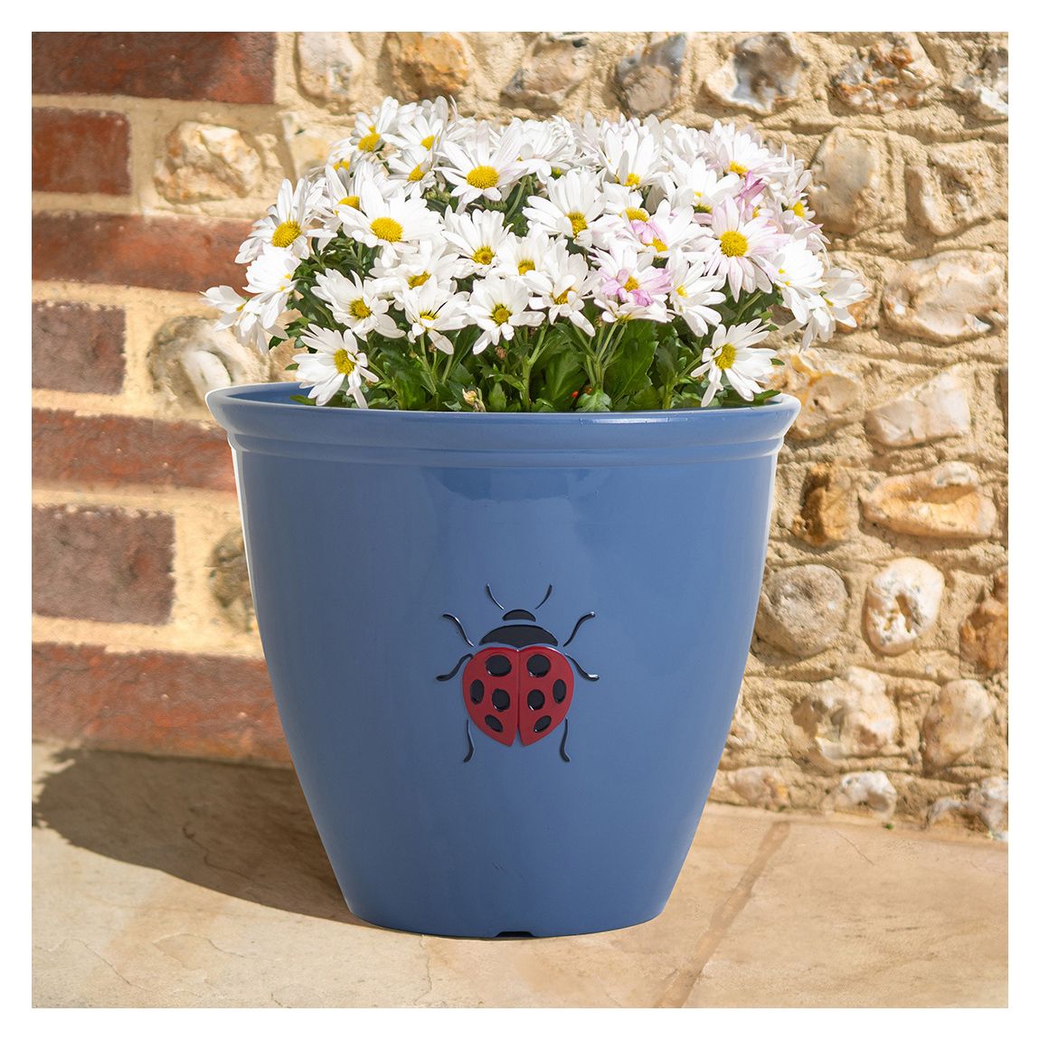 38cm Ladybird Planter Blue main product photo