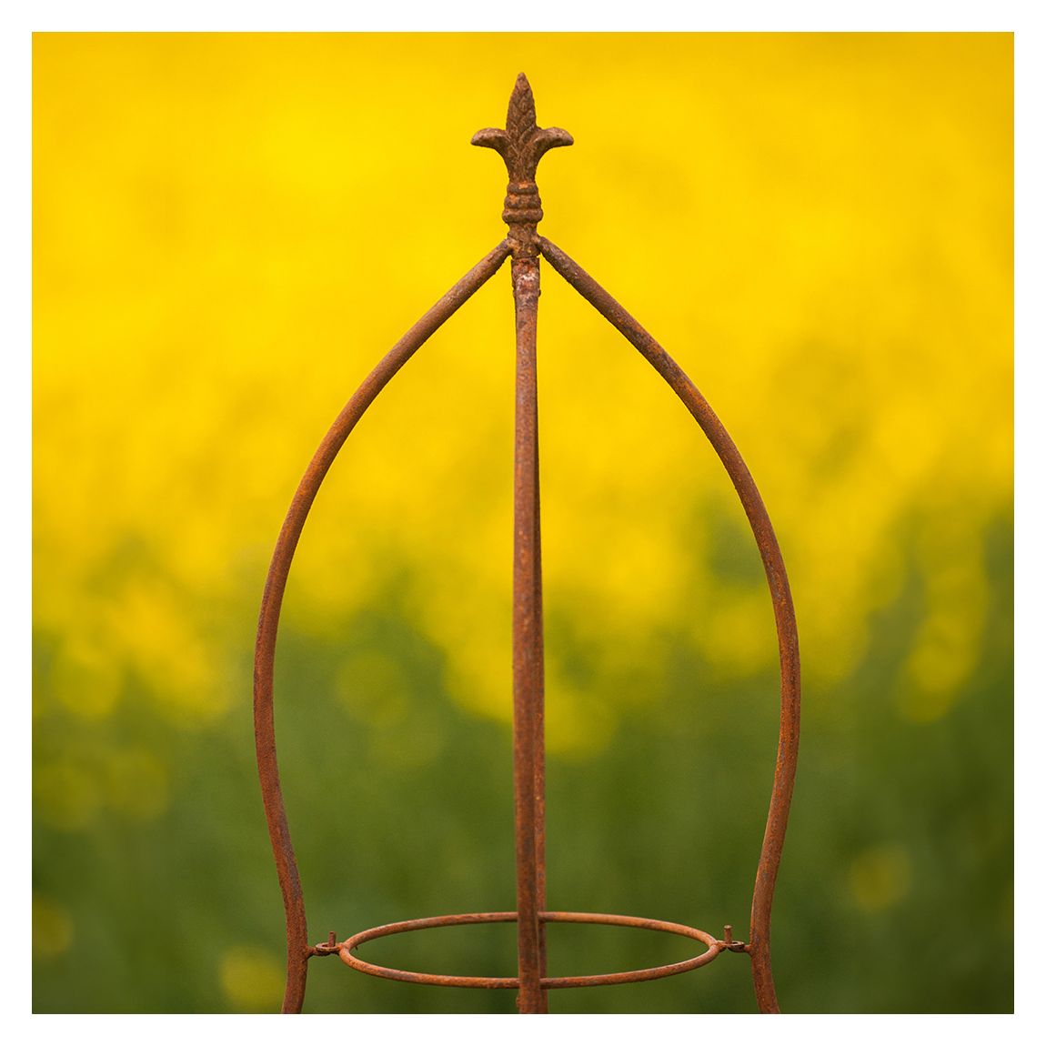 Plant Support 3D Round Fleur De Lis main product photo