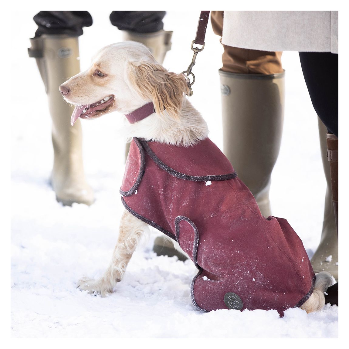 Large Dog Coat, Rouge main product photo