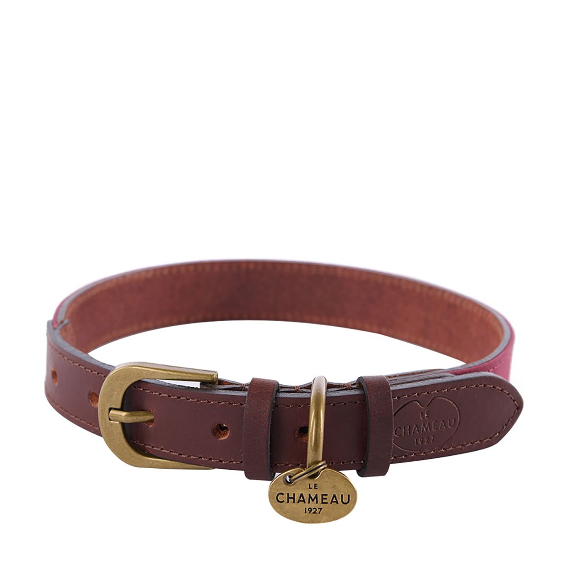 Large Waxed Cotton/Leather Dog Collar, Rouge main product photo