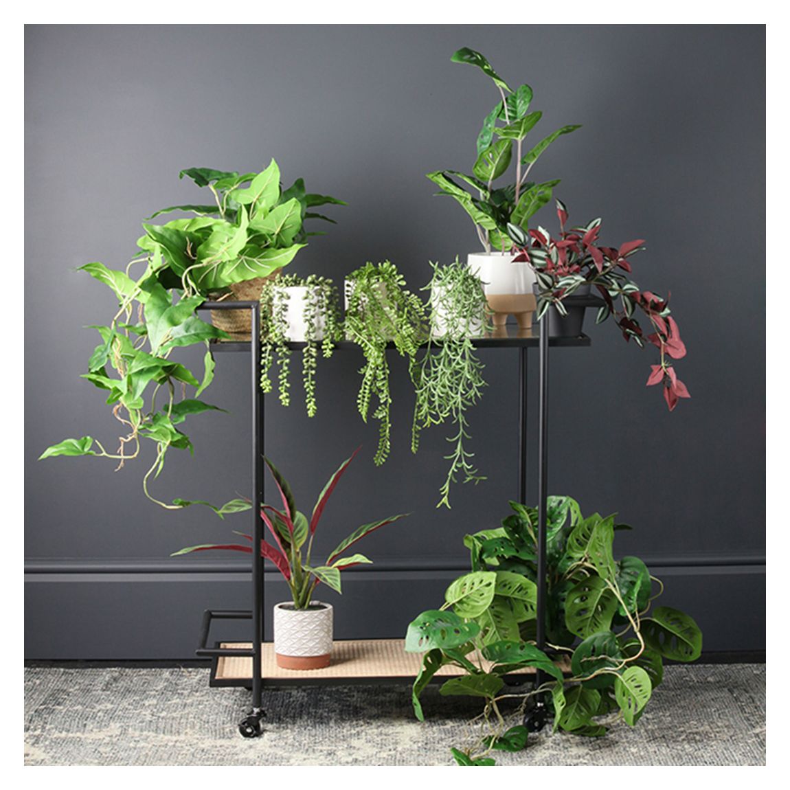 Set of 3 trailing plants in white pot main product photo