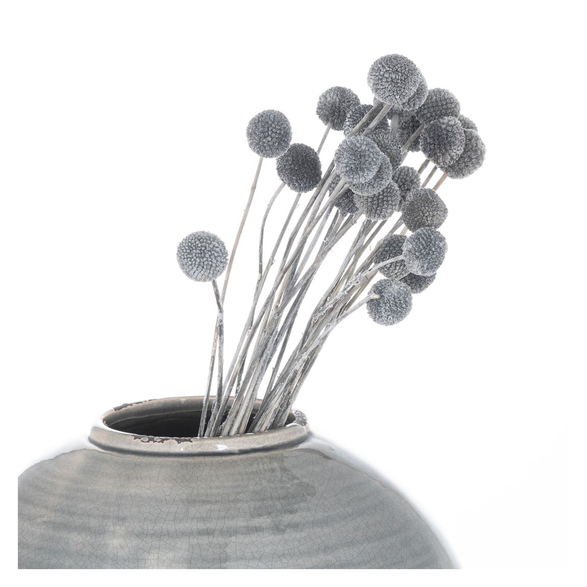 Dried Grey Billy Ball Bunch Of 20 main product photo