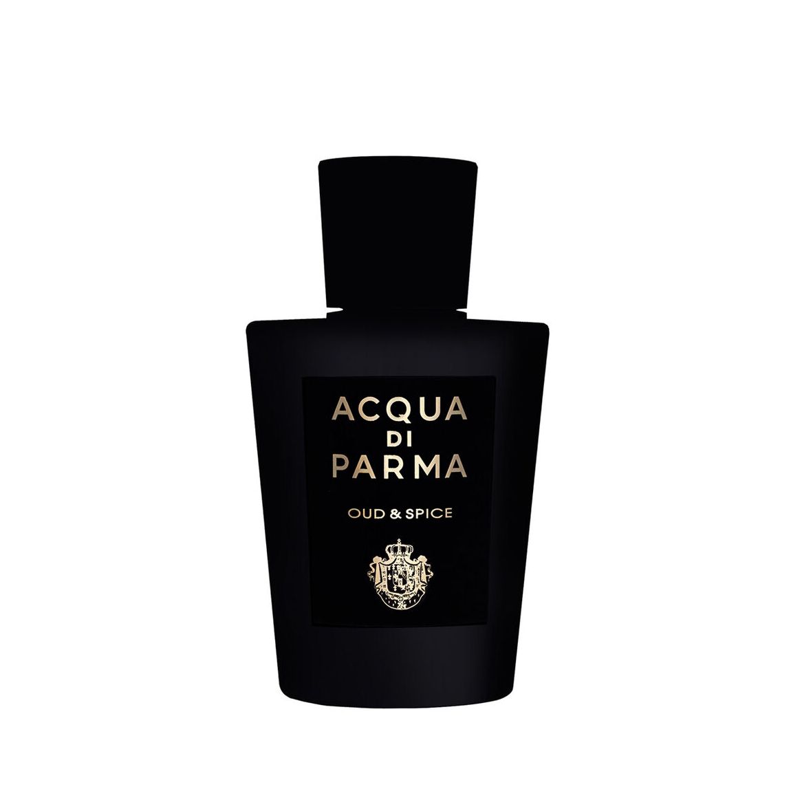 Oud & Spice Eau de Parfum Spray 100ml main product photo