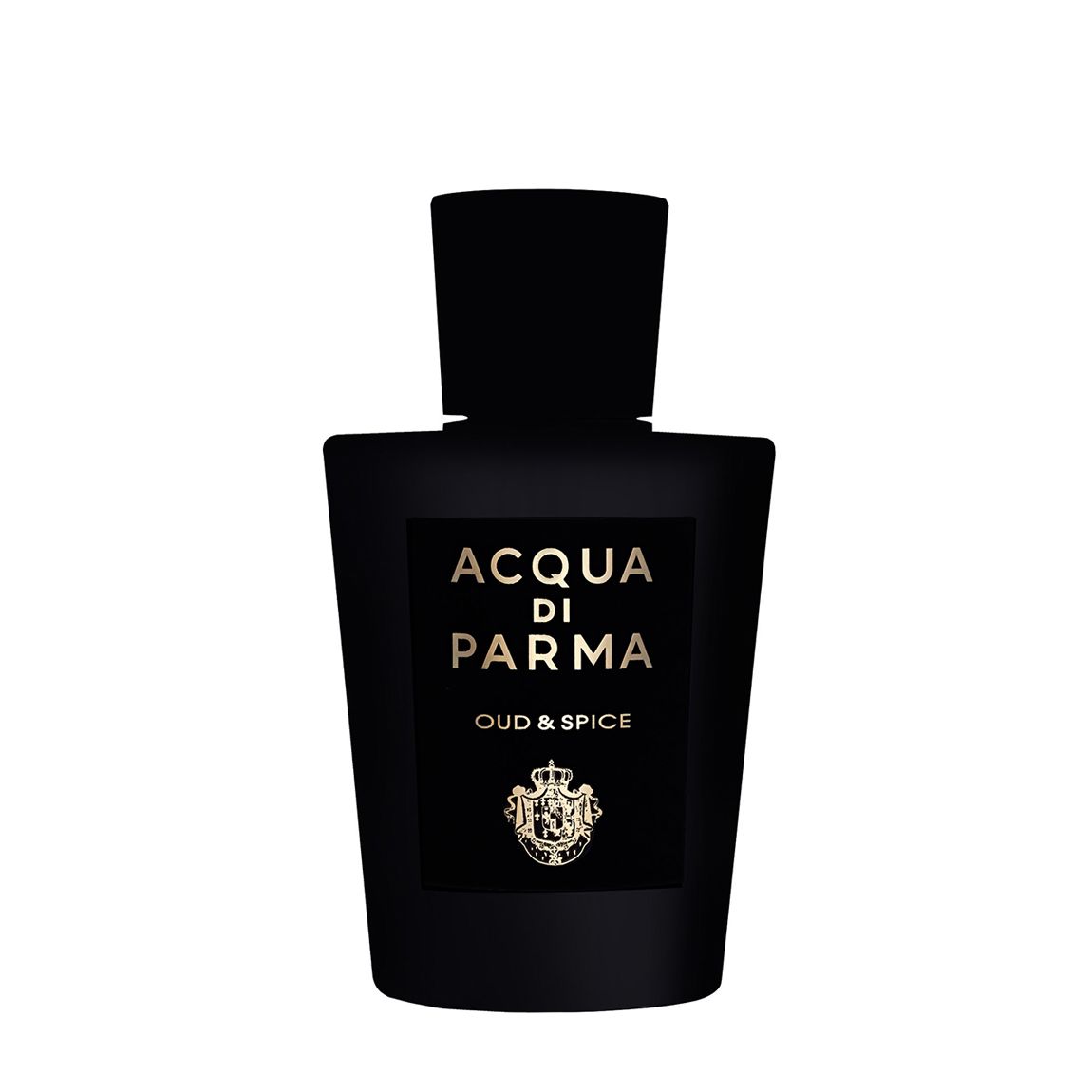 Oud & Spice Eau de Parfum Spray 100ml main product photo