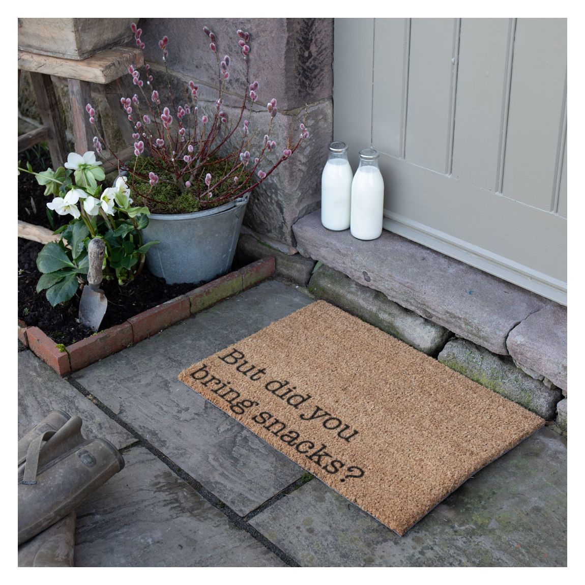 But Did You Bring Snacks Doormat main product photo