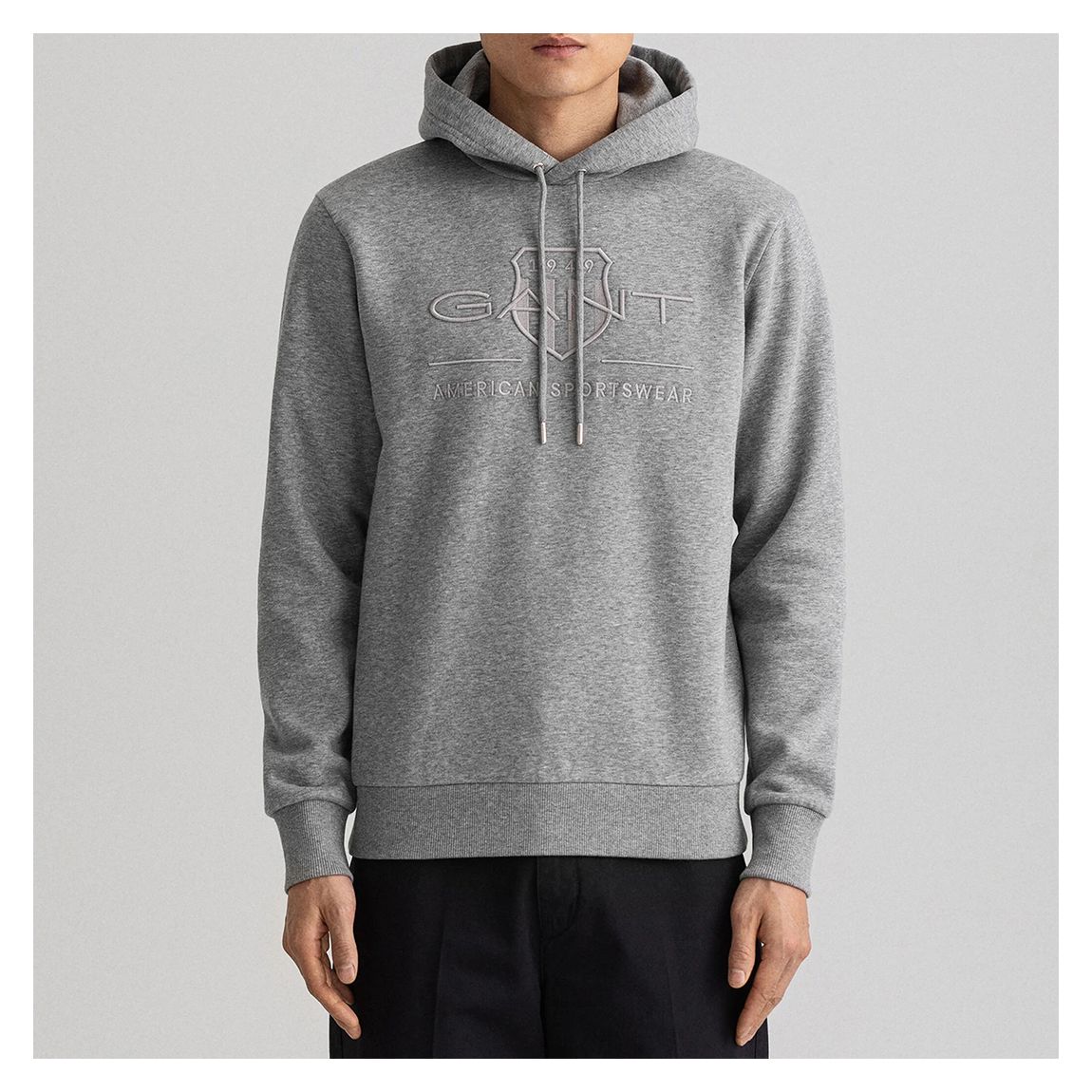 Grey Regular Fit Tonal Shield Cotton Hoodie main product photo