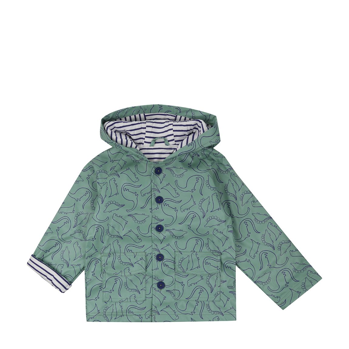 Dino Raincoat main product photo