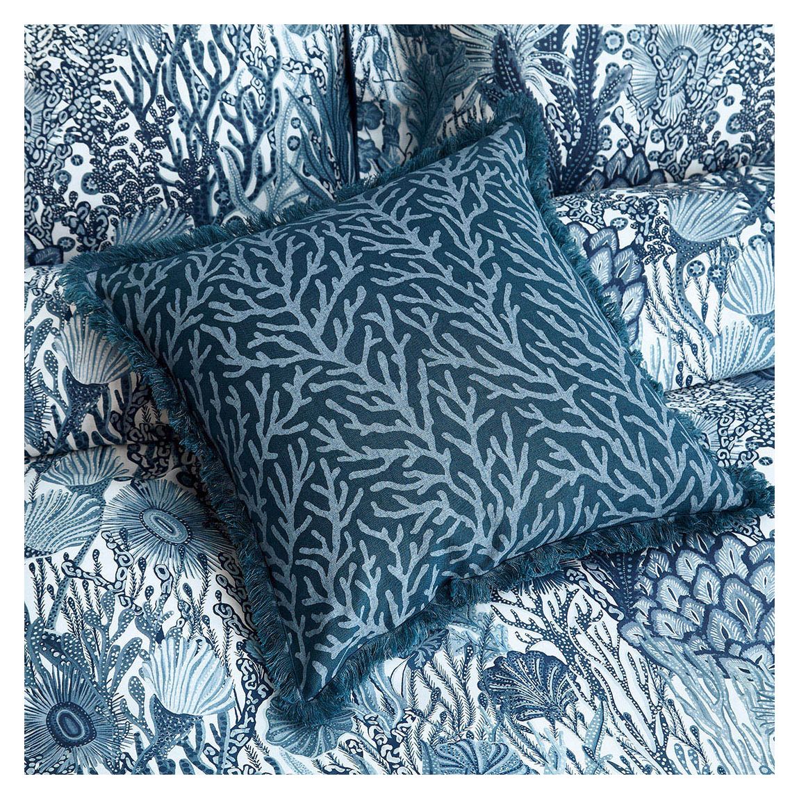 Acropora Cushion, Exhale main product photo