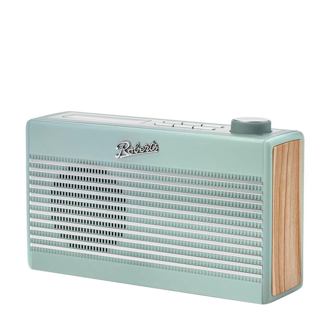 Rambler Mini DAB+/FM Radio Duck Egg main product photo