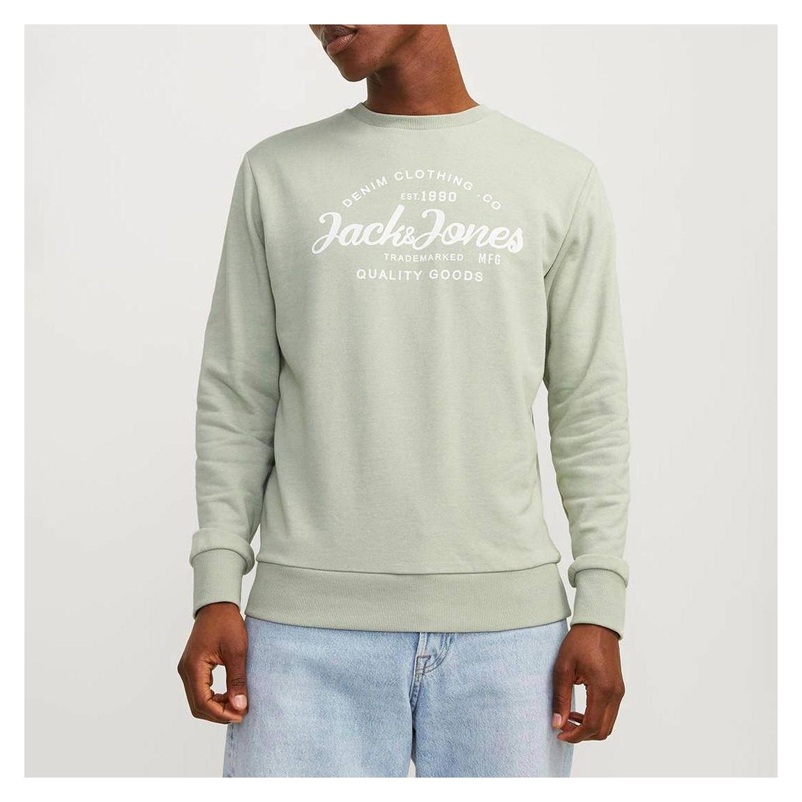 Dessert Sage Cotton Blend Hoodie main product photo