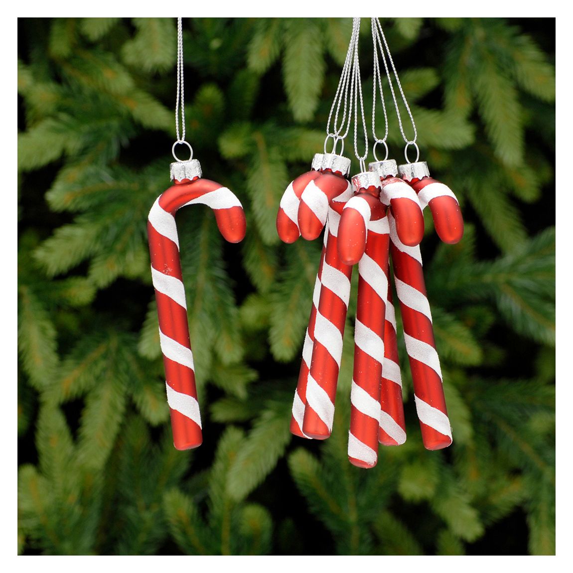 Set of 6 Candy Cane Tree Decorations main product photo