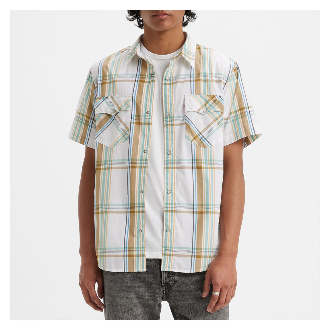Multi Relaxed Fit Western Cotton Shirt main product photo