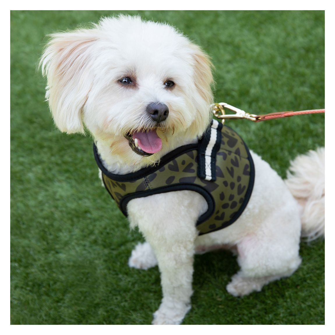 Medium Khaki/Black Heart Dog Harness main product photo