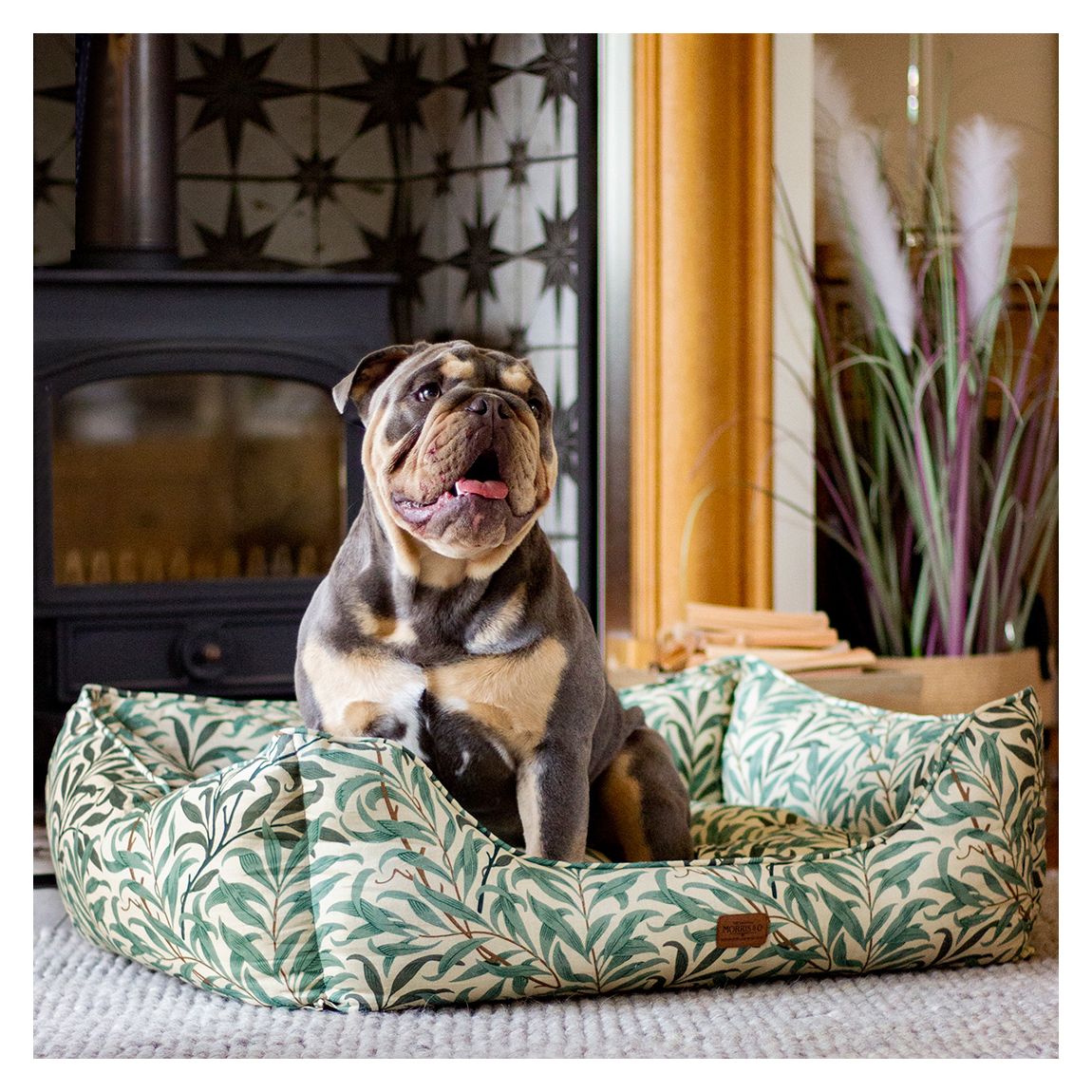 Willow Boughs Pet Box Bed, Ivory/Green, Size Medium, 69cm x 52cm x 25cm main product photo