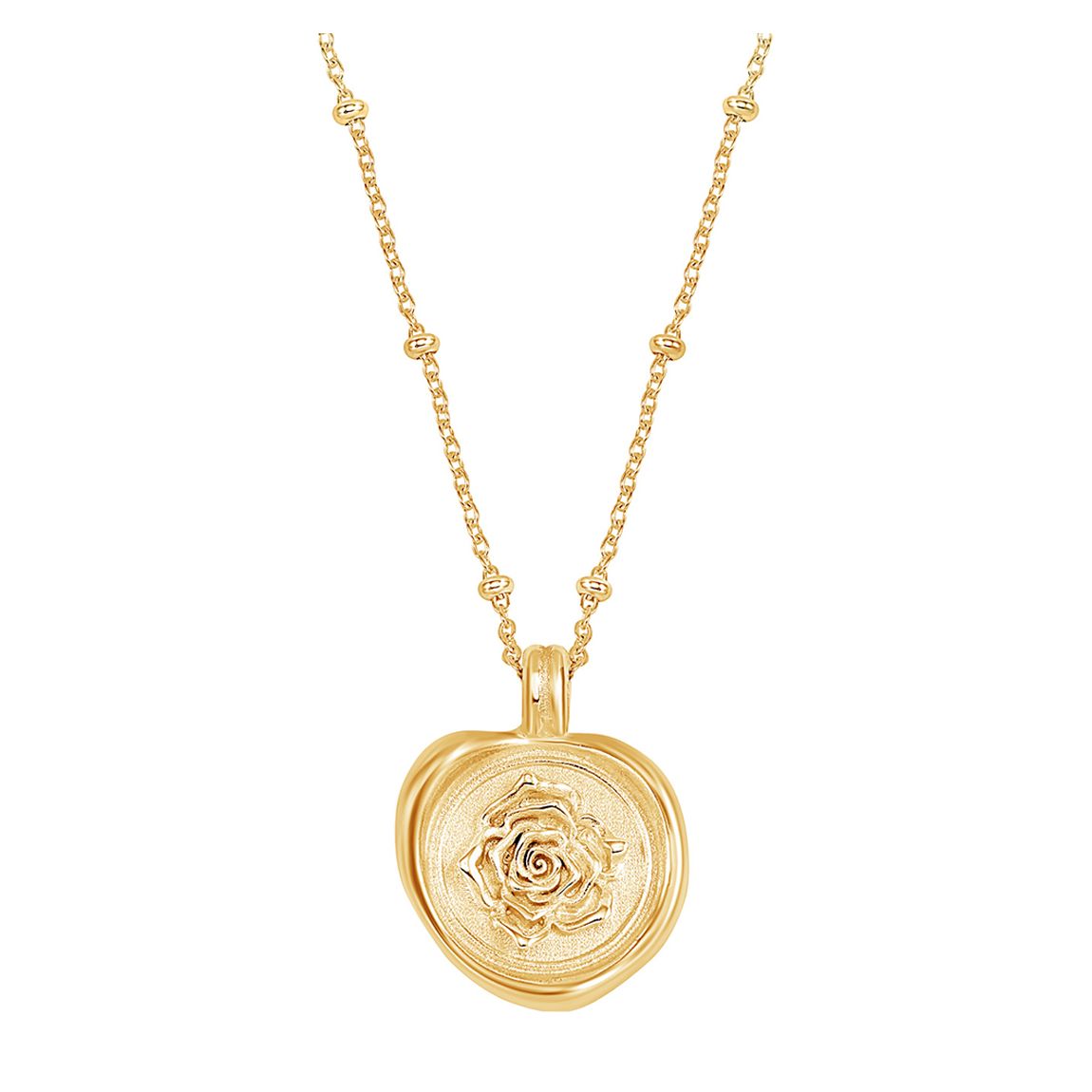 Silver Wild Rose Talisman Necklace main product photo
