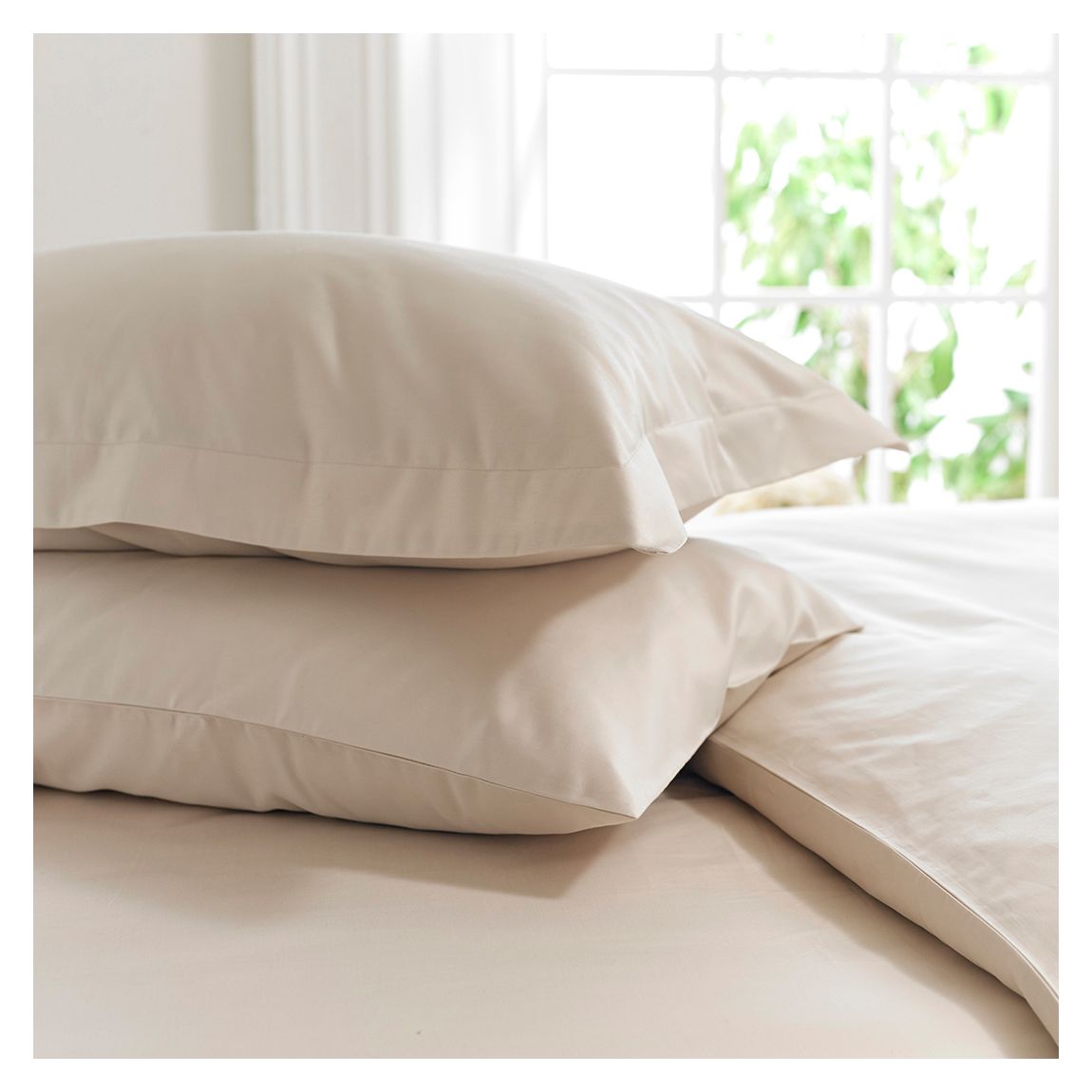 800TC Oxford Pillowcase, Prosecco main product photo