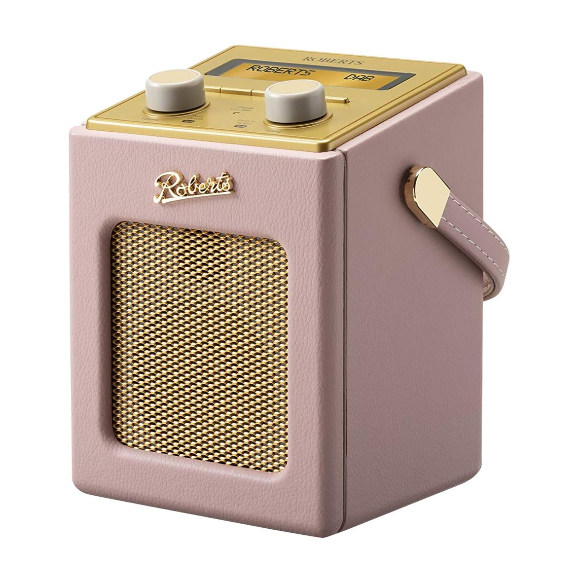 Revival Mini Dusty Pink DAB/FM Digital Radio main product photo