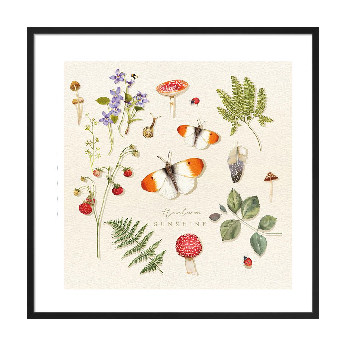 Heulwen Sunshine 40x40cm Framed Print main product photo