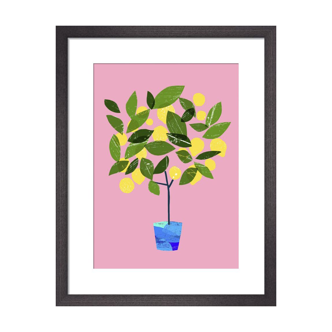 Meyer Lemon Tree 36x28cm Framed Print main product photo