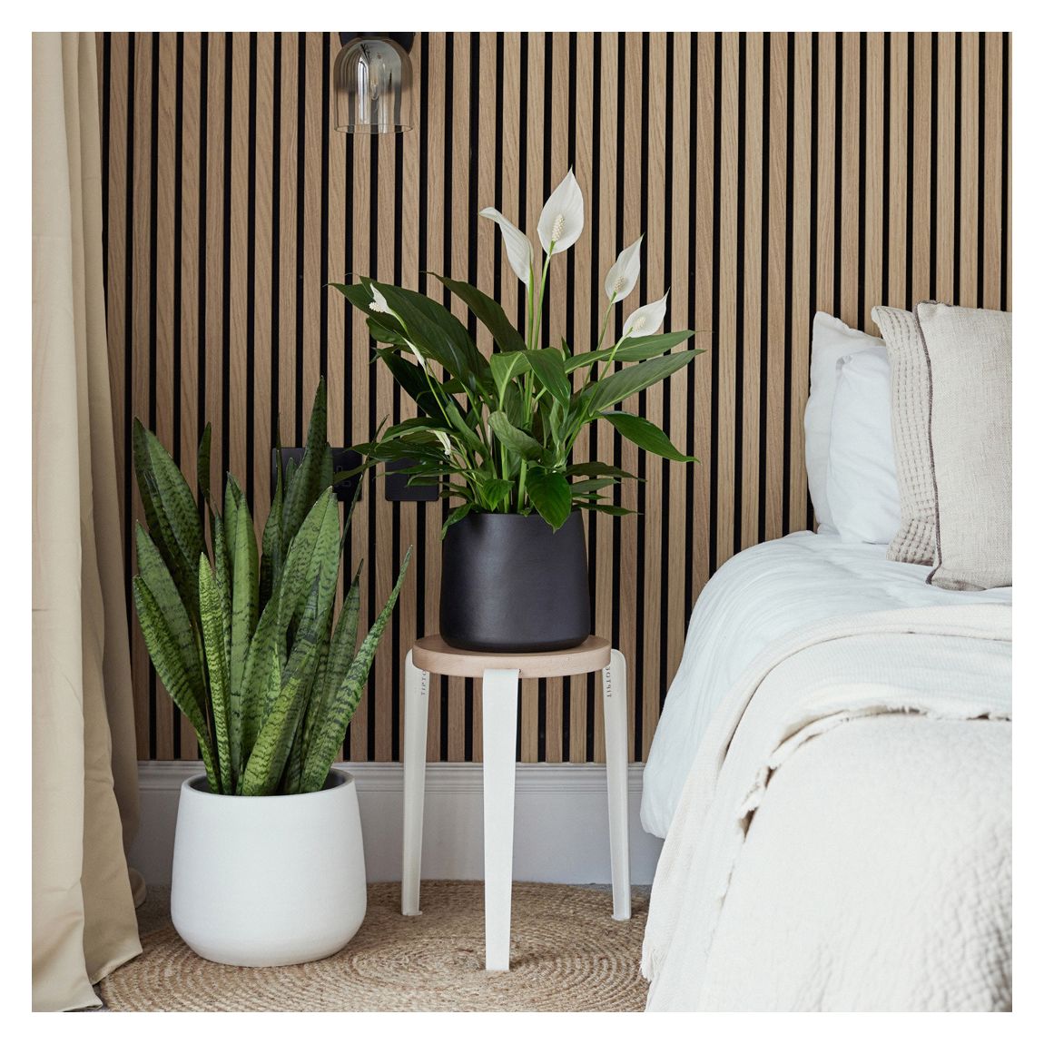Akemi Planter Pure White H20CM D22CM main product photo