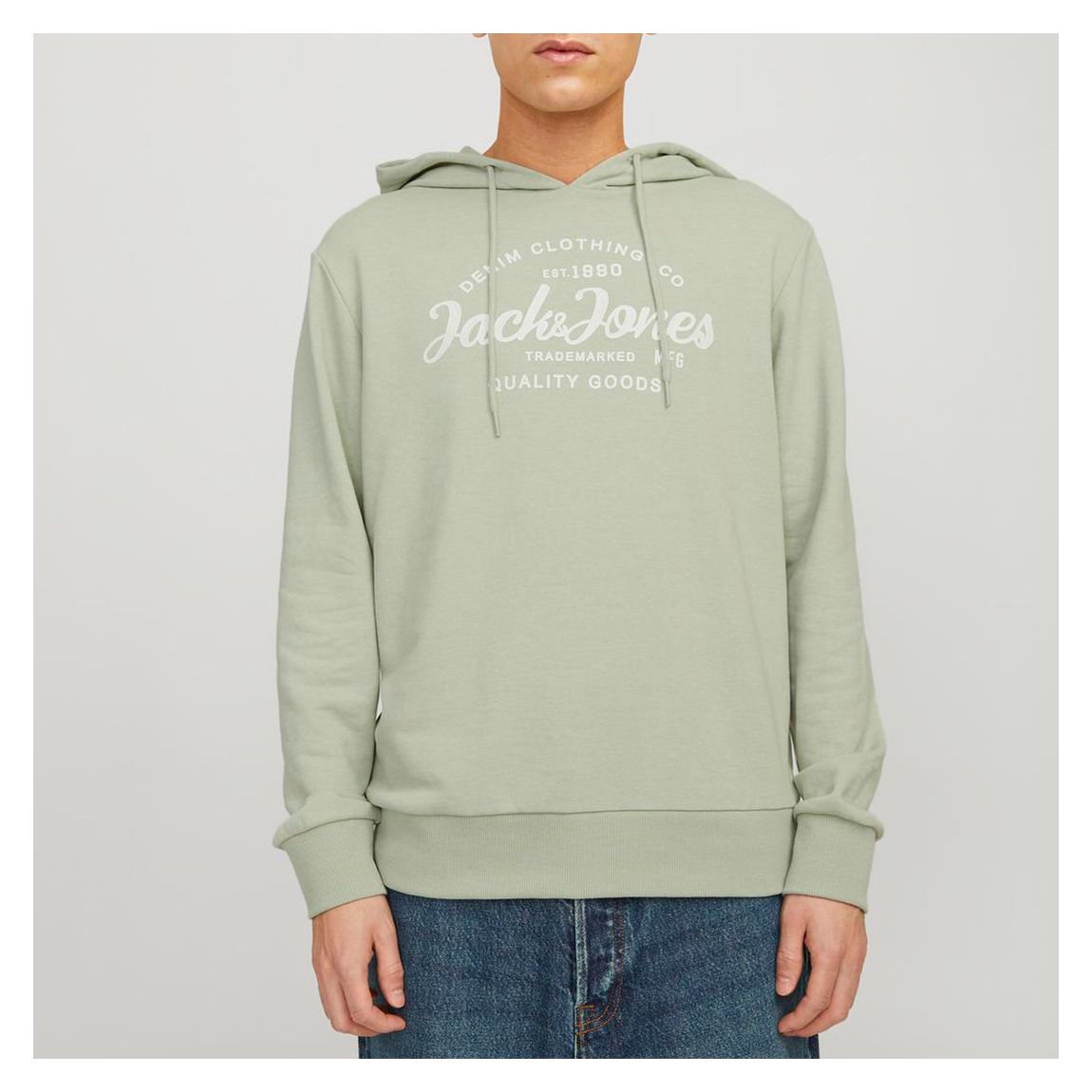 Desert Sage Cotton Blend Hoodie main product photo