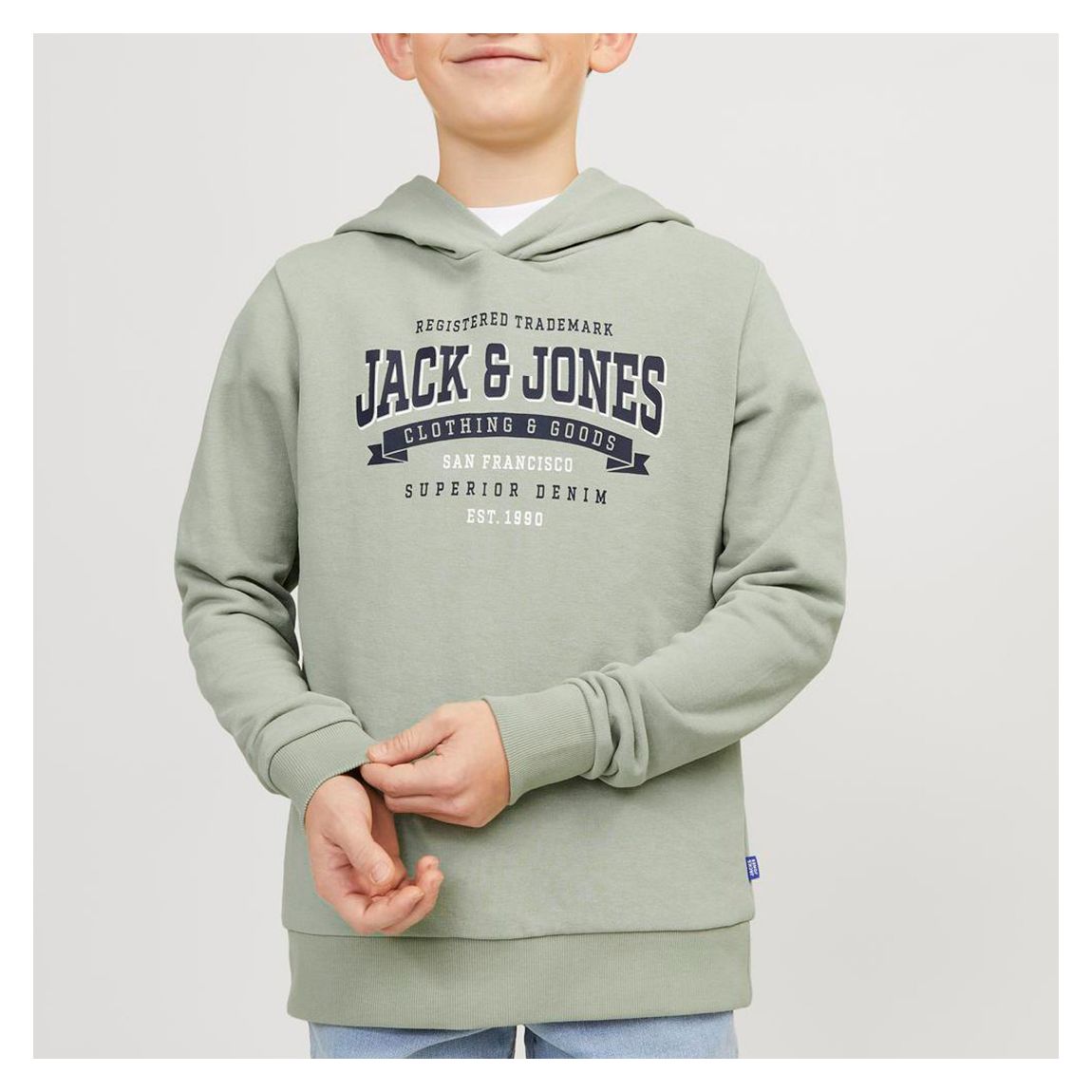 Desert Sage Cotton Blend Hoodie main product photo
