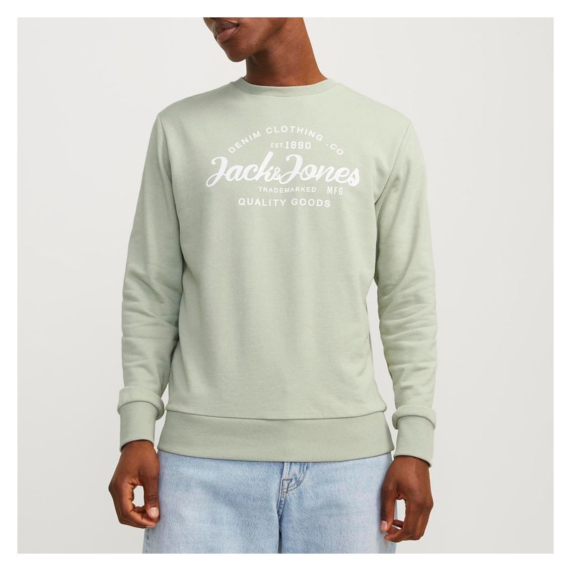 Dessert Sage Cotton Blend Hoodie main product photo