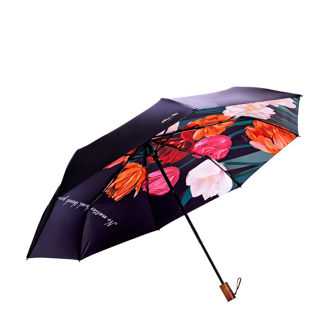 Multicolor Le Monde du Parapluie Folding Umbrella main product photo