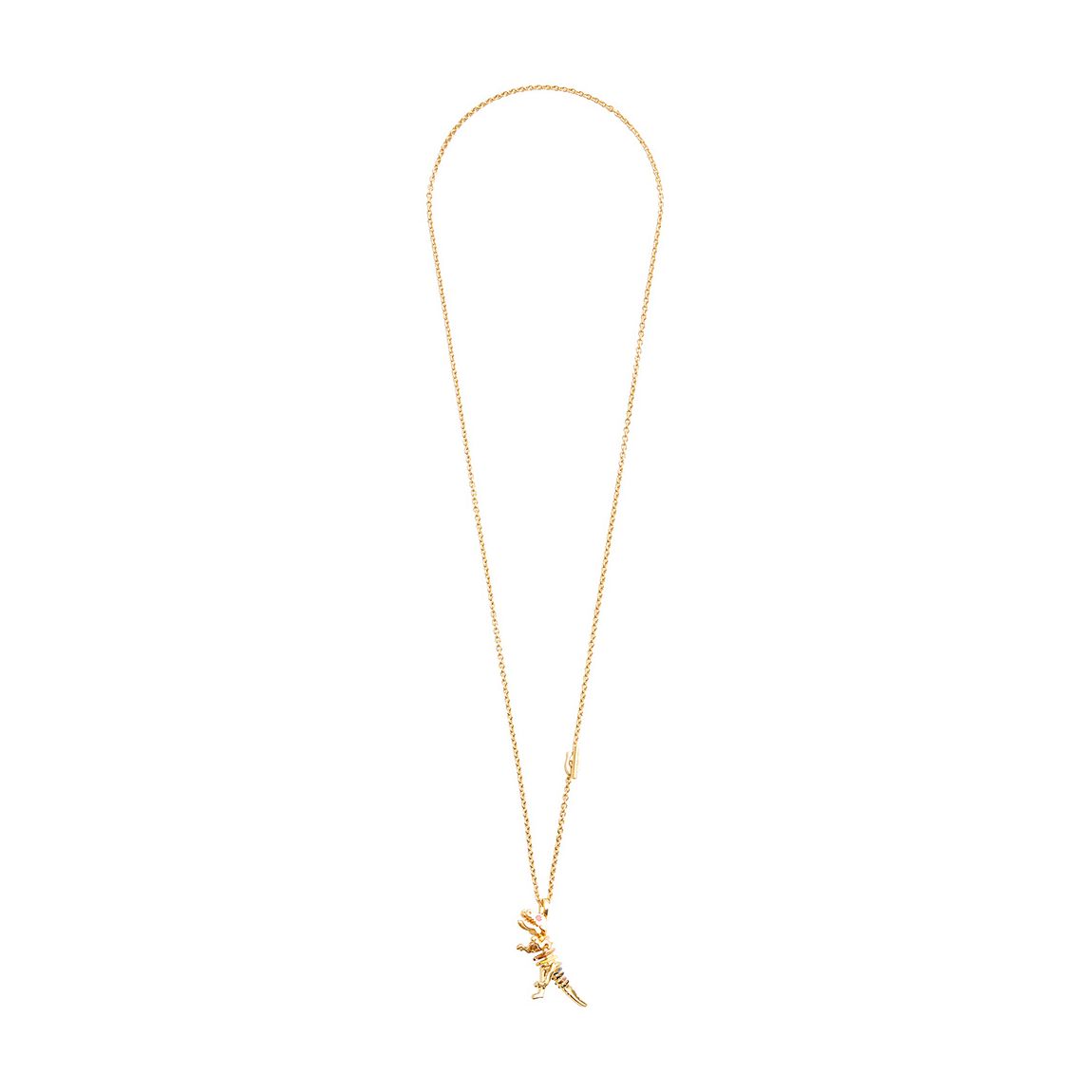Rainbow Multi, Gold Co Rexy Long Pendant Necklace main product photo