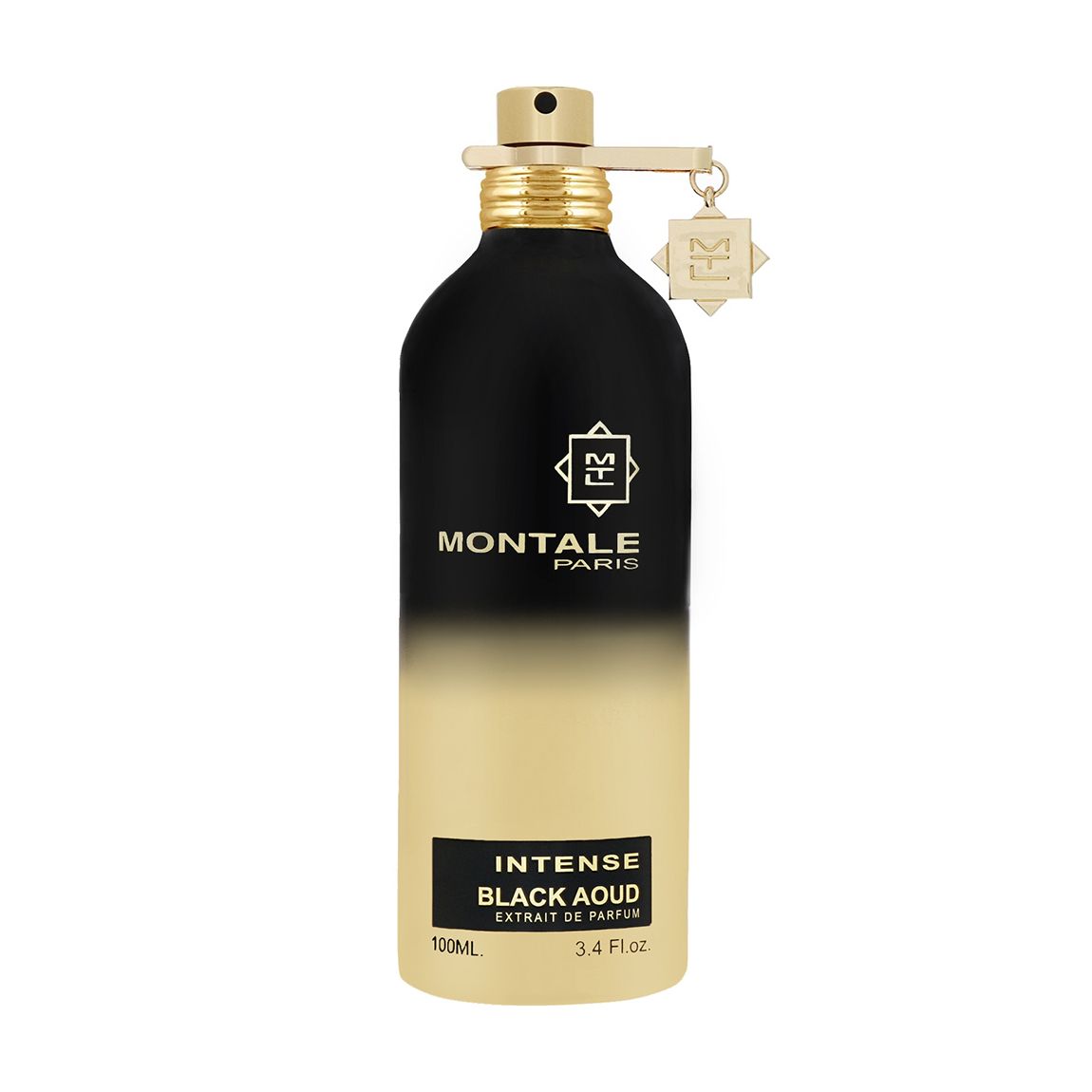 Intense Black Aoud Extrait de Parfum Spray 100ml main product photo