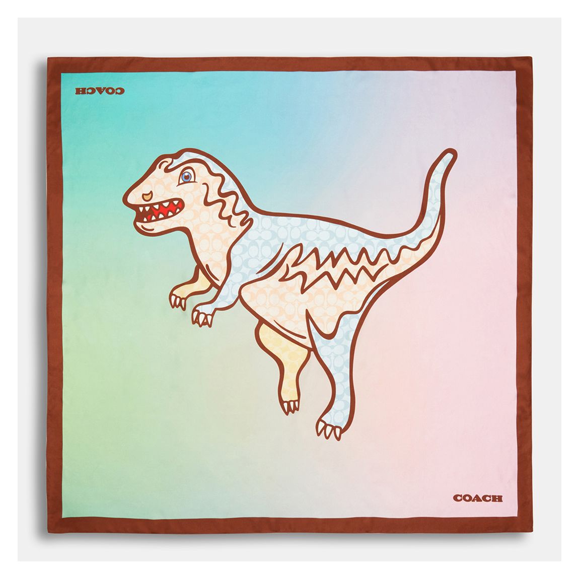Multi Ombre Signature C Rexy Printed Silk Square main product photo
