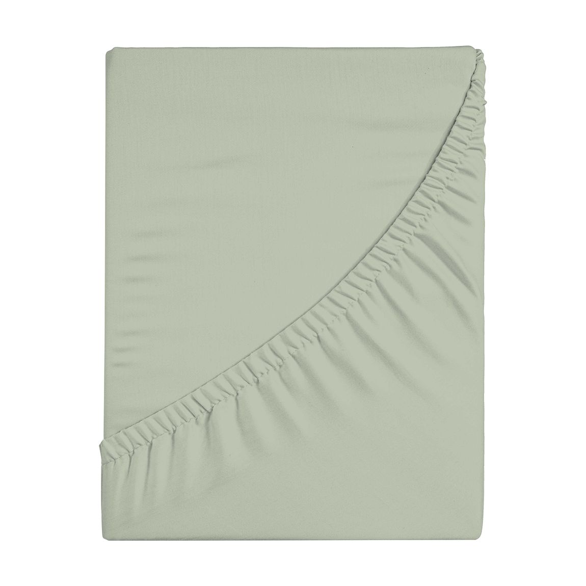 Superking Fitted Sheet, Sage with Forest Border main product photo