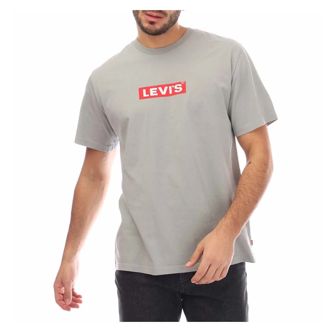 Grey Relaxed Fit Cotton T-Shirt main product photo