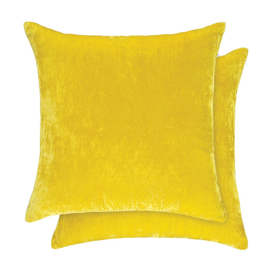 Paddy - Citron 50x50 Cushion main product photo