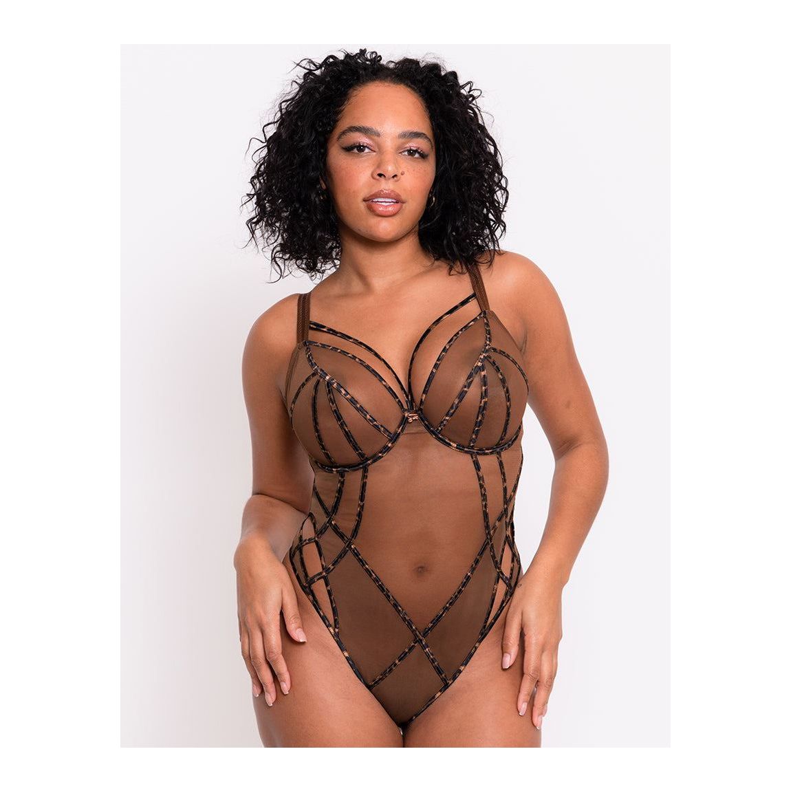 Scantilly Senses Plunge Bodysuit Leopard Brown main product photo