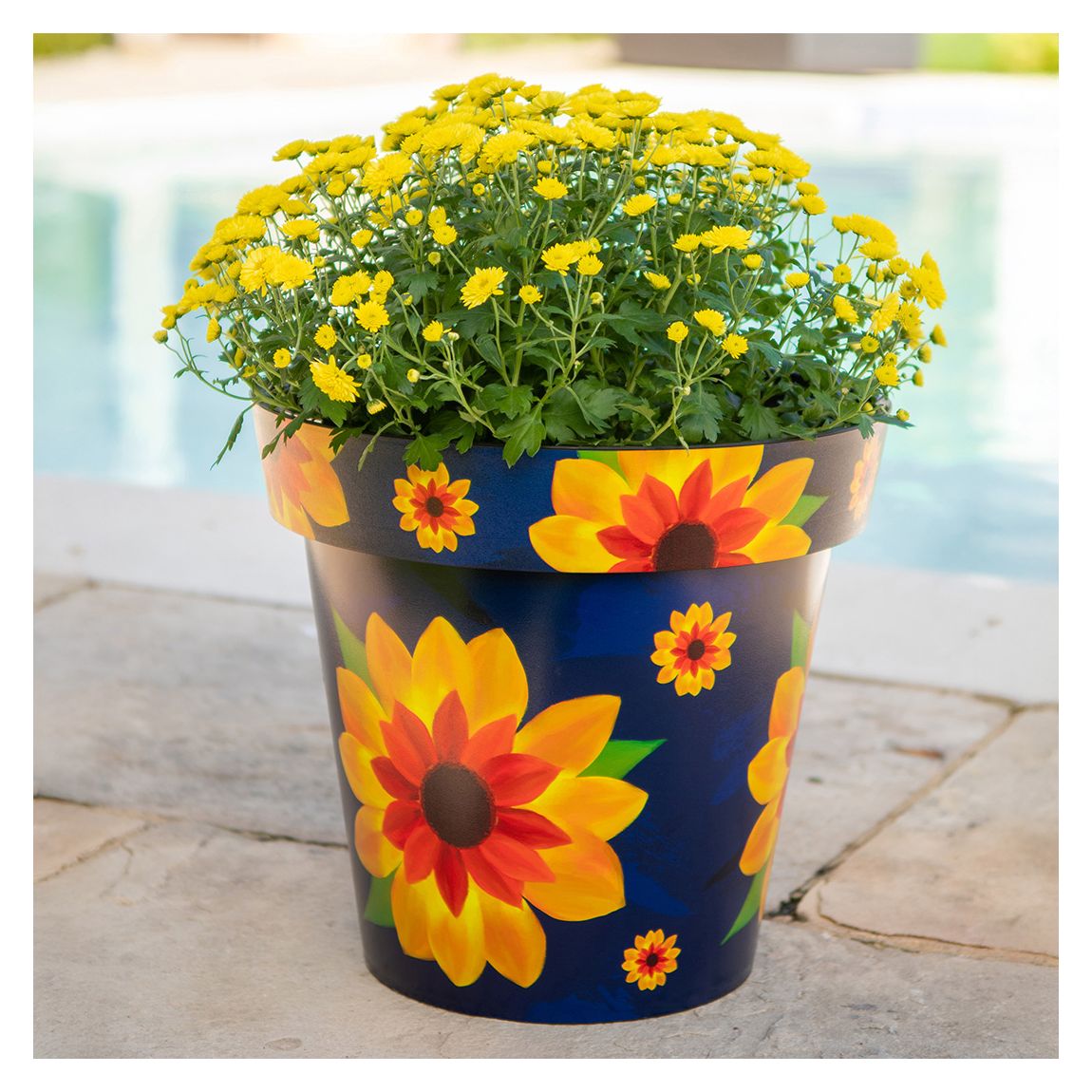 38cm Zest Pot - Sunflower main product photo