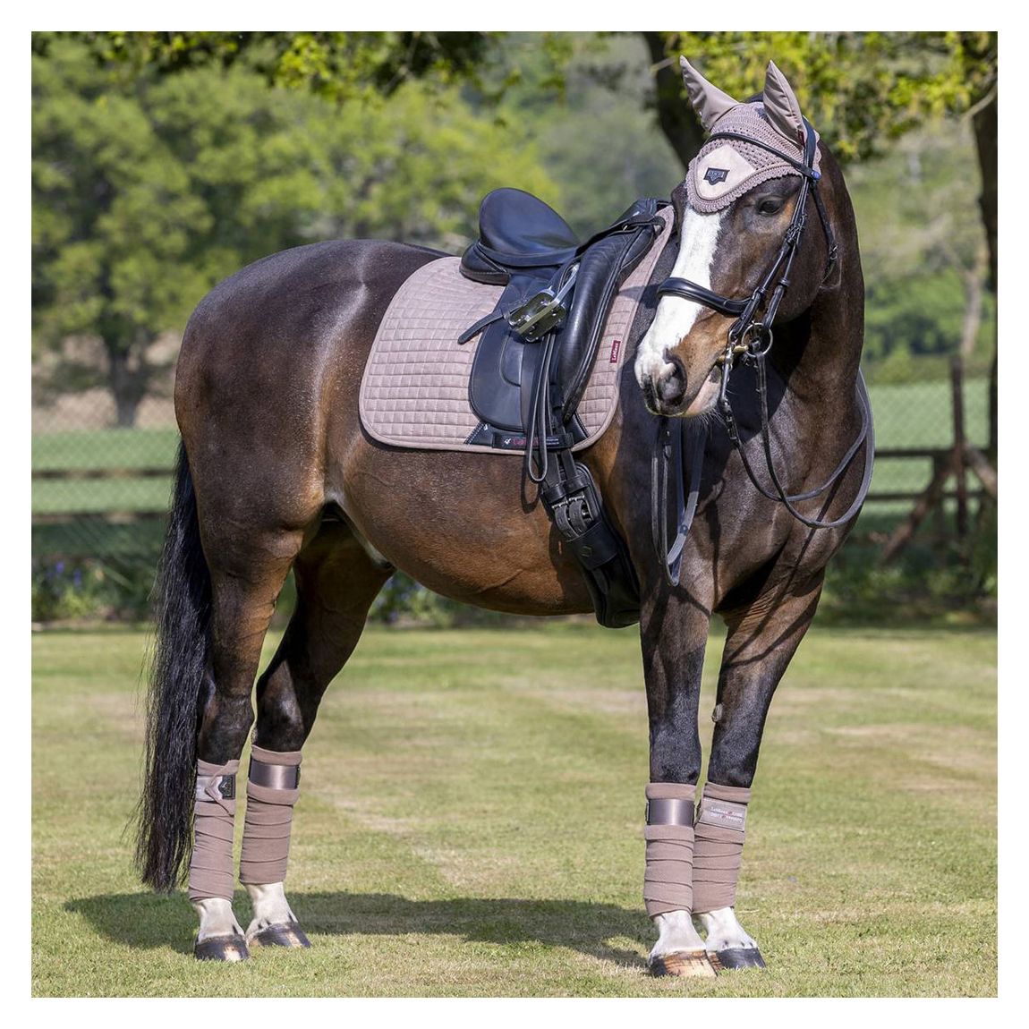 Mink Suede Dressage Square main product photo