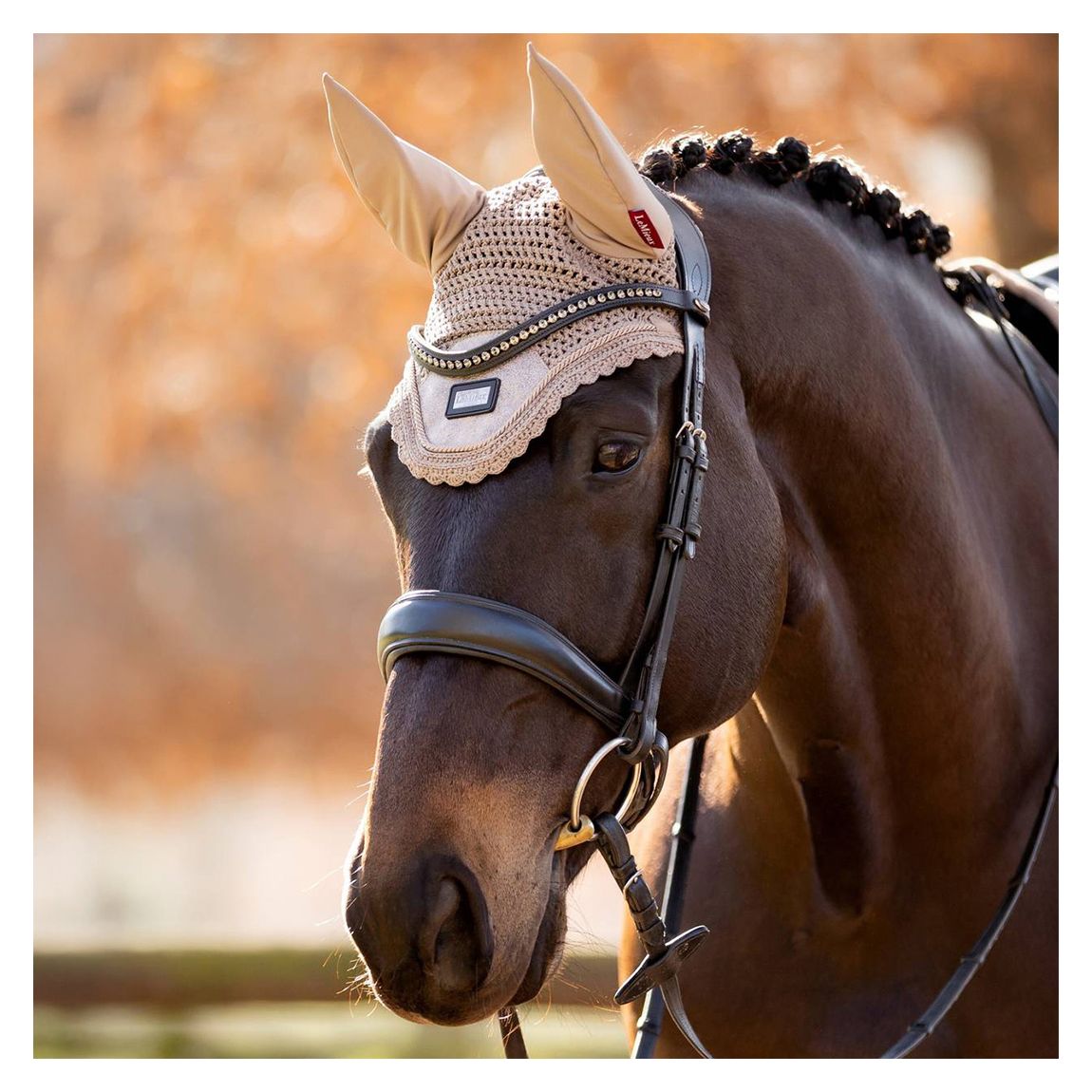 Prosecco Rhone Fly Hood main product photo