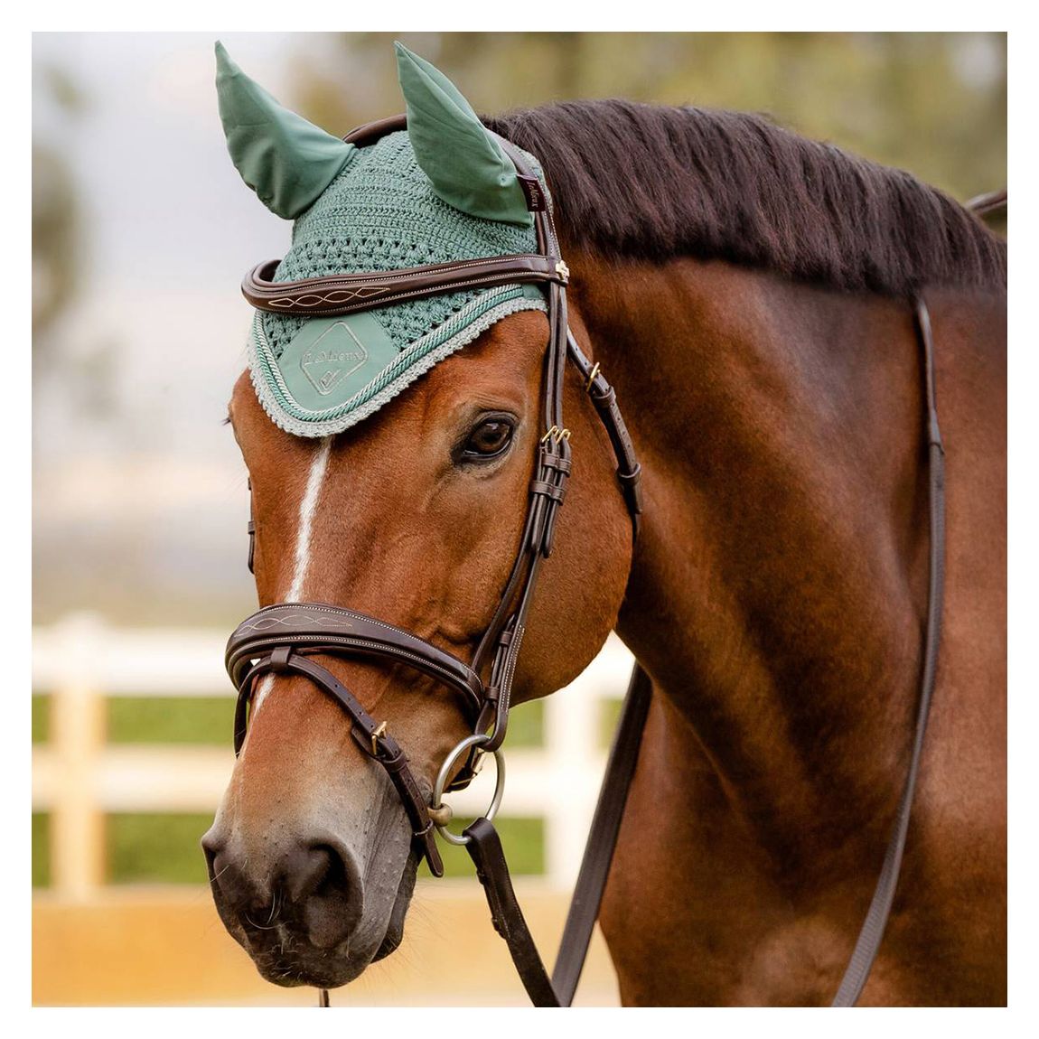Sage Classic Fly Hood main product photo