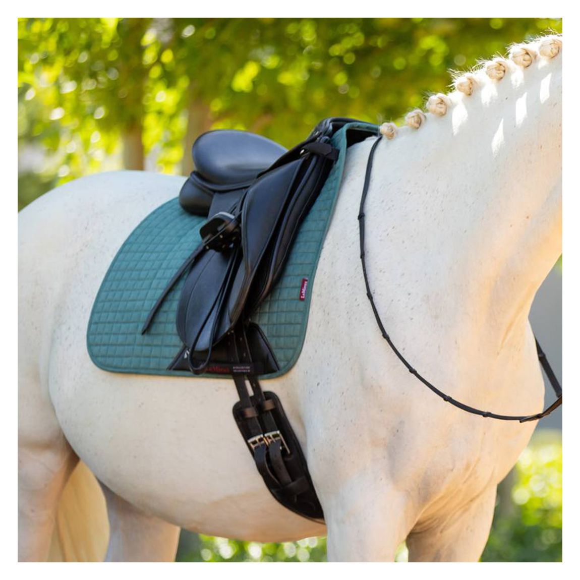 Sage Suede Dressage Square main product photo