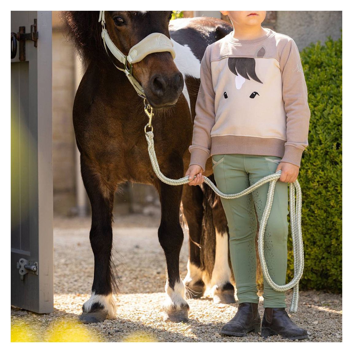 Brown Mini Pony Sweatshirt main product photo