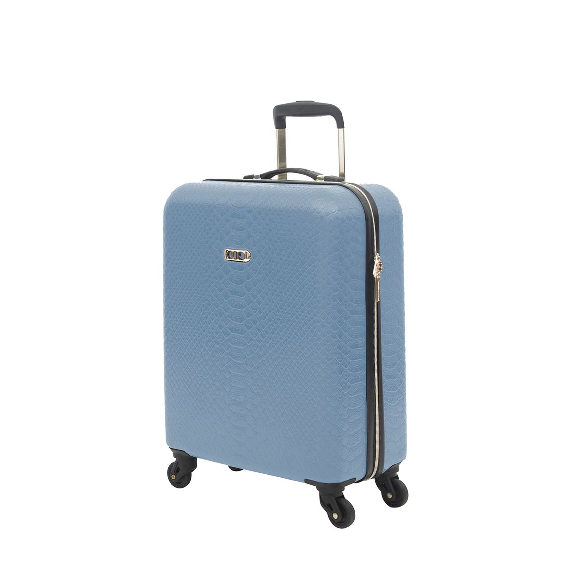 Ice Blue Tonbridge Cabin Case 39L main product photo