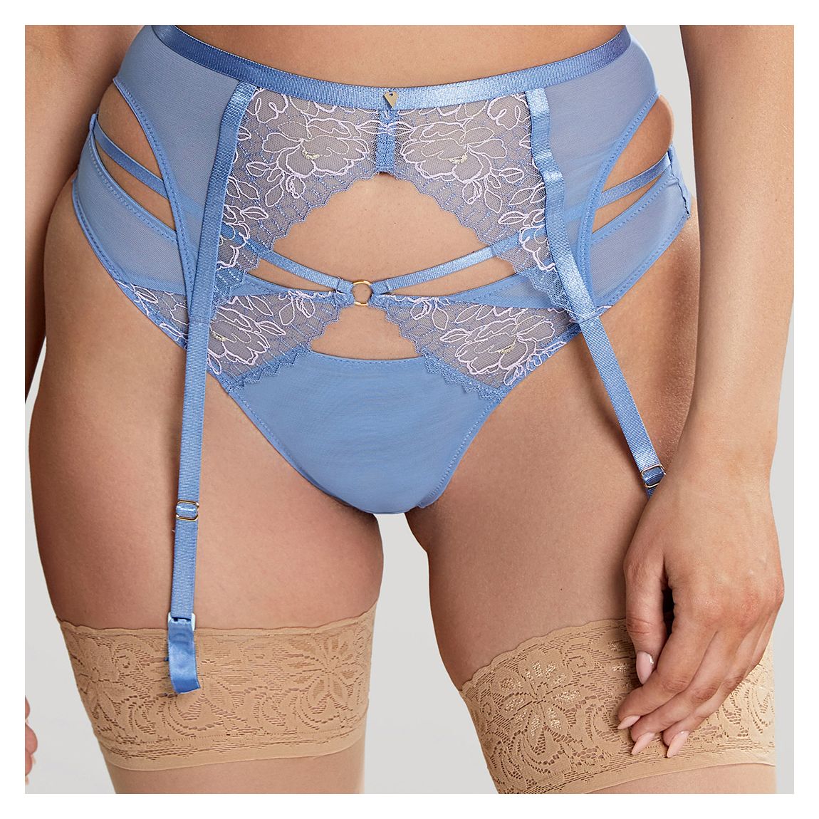 Valentina Luxe Suspender Briefs main product photo