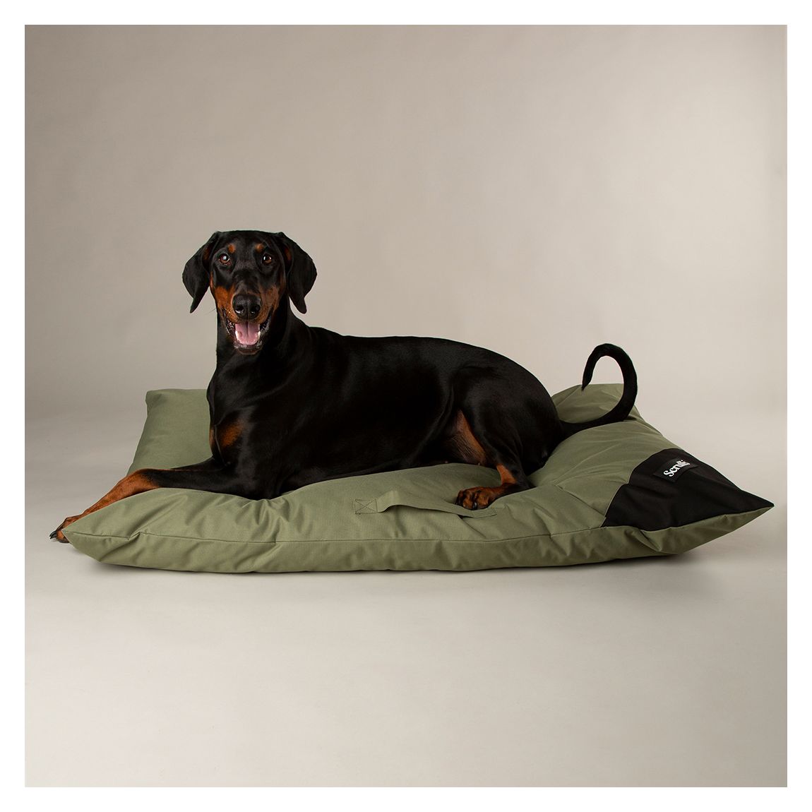 Expedition Memory Foam Orthopaedic Pillow, Green X Large main product photo