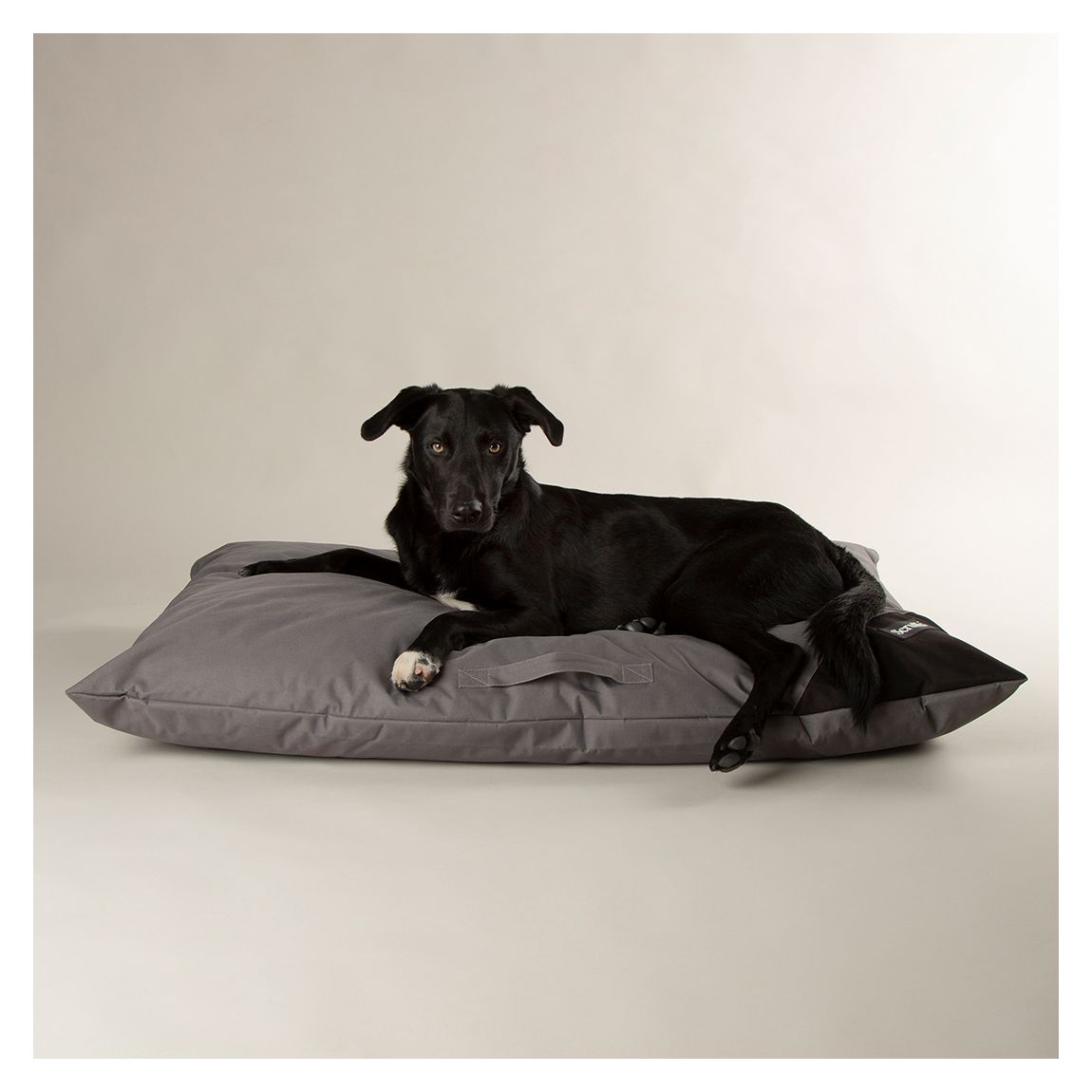 Grey Expedition Memory Foam Orthopaedic Pillow, X-Large main product photo