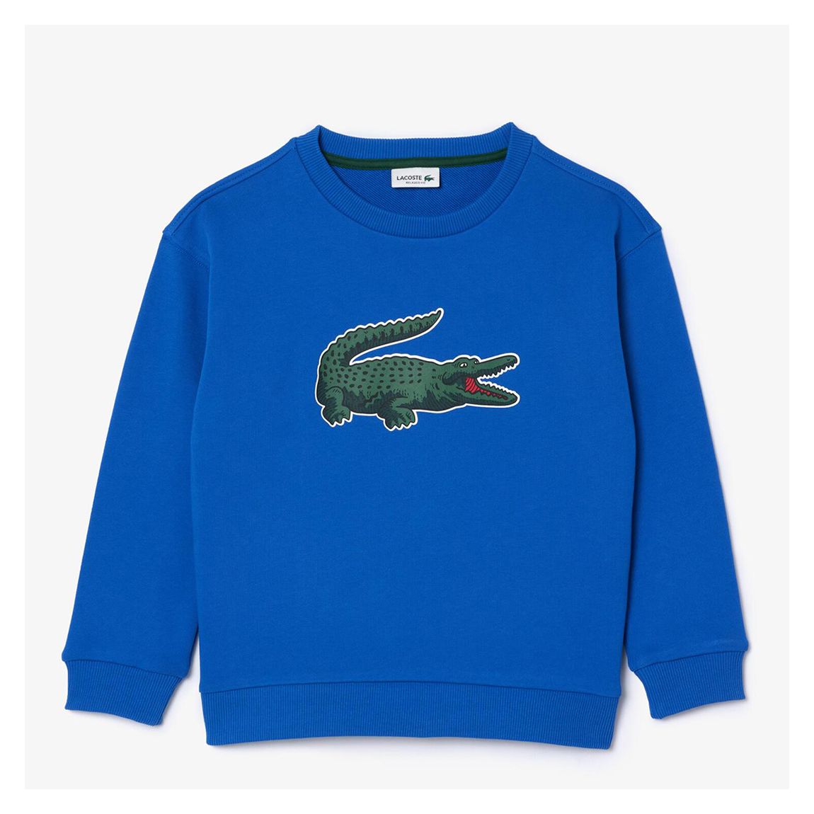 Kids Blue Graphic Printed Sweatshirt main product photo