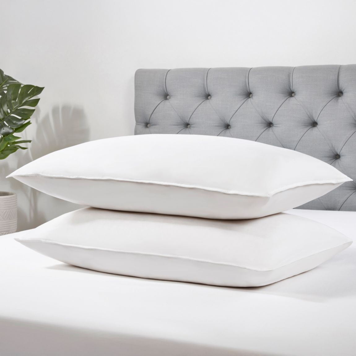 Goose Feather and Down Pillows main product photo