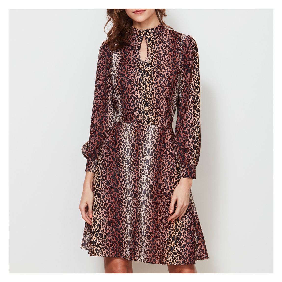 Leopard Print Fit Flare Dress main product photo