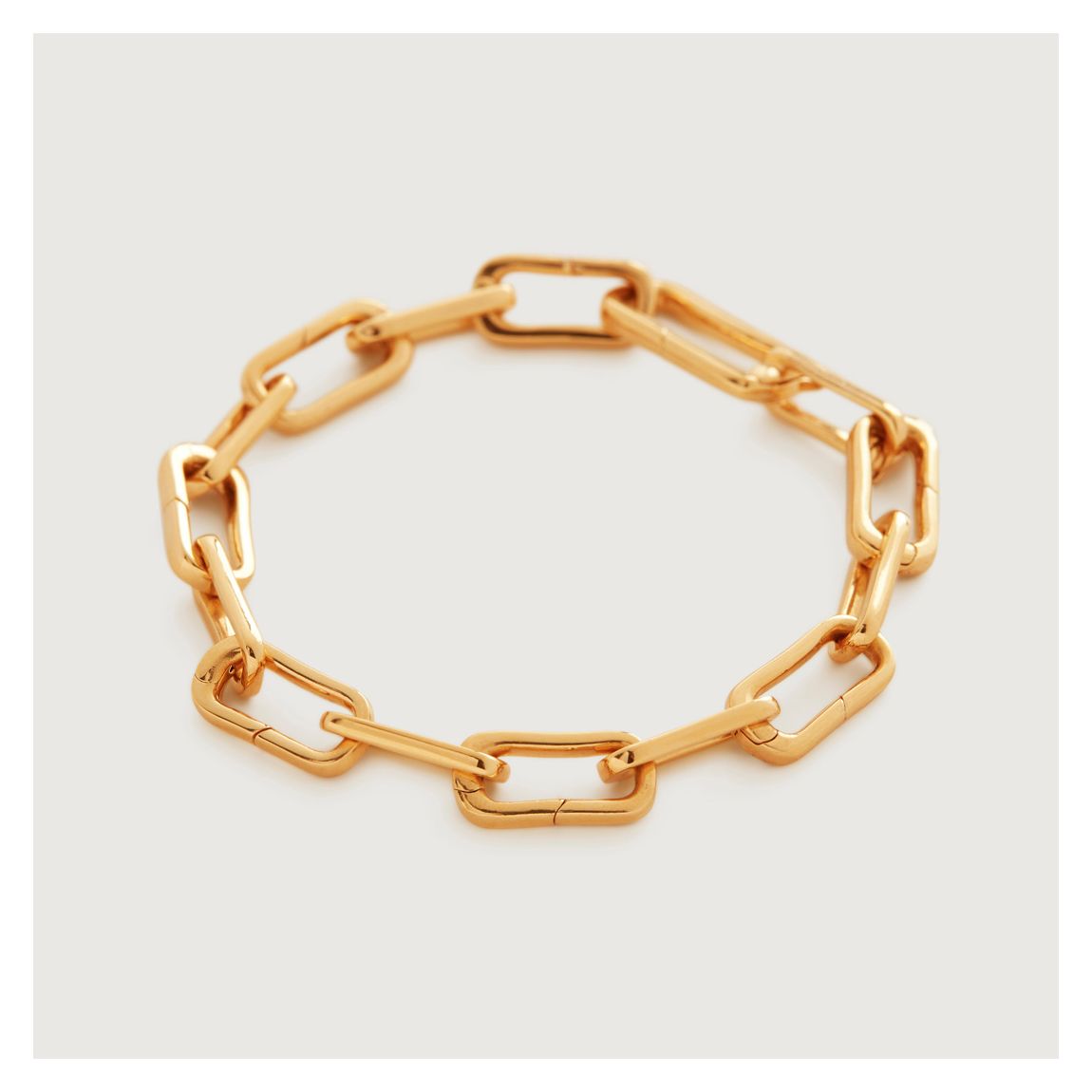 Gold Capture Charm Bracelet main product photo